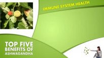 Top 5 Benefits Of Ashwagandha  Best Health and Beauty Tips
