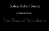 Bishop Barron on the Waze of Providence.flv