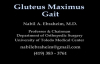 Gluteus Maximus Gait  Everything You Need To Know  Dr. Nabil Ebraheim