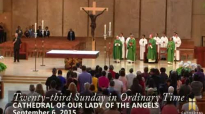 23rd Sunday in Ordinary Time, Homily by Bishop-Elect Robert Barron (9_6_2015).flv