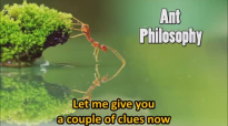 The Ant Philosophy - Jim Rohn.mp4