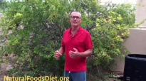 The Health Benefits of Pomegranate