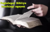 Ed Lapiz Preaching ➤ Paglalapat Bibliya teachings ngayon.mp4