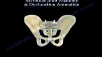 Sacroiliac Joint Dysfunction Anatomy, Animation  Everything You Need To Know  Dr. Nabil Ebraheim