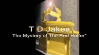 TD Jakes-Mystery Solved The Red Heifer