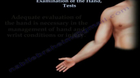 Examination Of The Hand, Tests  Everything You Need To Know  Dr. Nabil Ebraheim