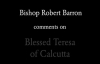 Bishop Barron on Blessed Teresa of Calcutta (Mother Teresa).flv