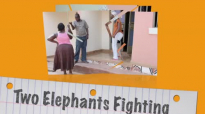 WHEN TWO ELEPHANTS FIGHTING. Kansime Anne. African Comedy.mp4