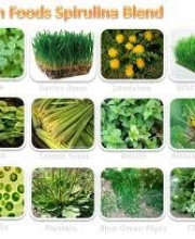 Benefits of herbs- Green Food and Spirulina Blend